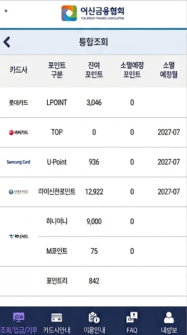 카드사별 잔여 포인트 통합조회 결과